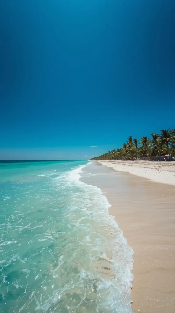 Florida Travel Guide: 12 Best Places and Tips Florida Travel Guide