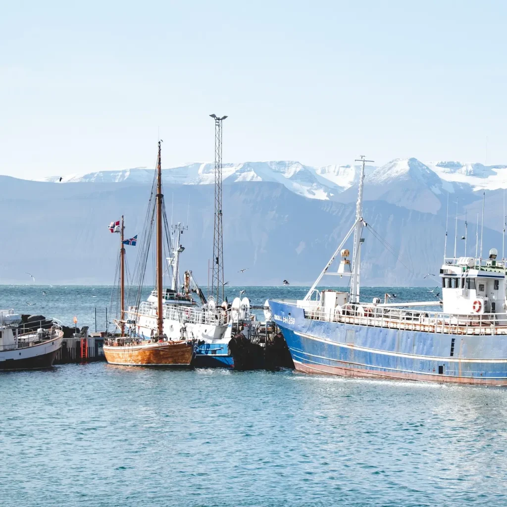 What is the Cheapest Month to Visit Iceland